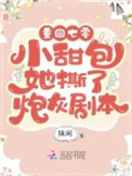 重回年代:小甜包她撕了炮灰剧本txt下载 百度网盘