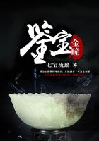 鉴宝大宗师免费小说