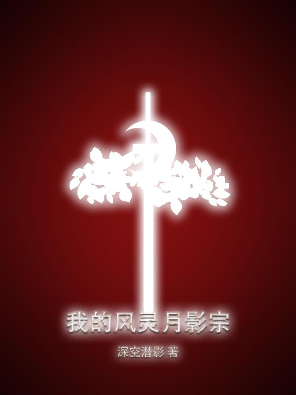 风灵月影宗传人