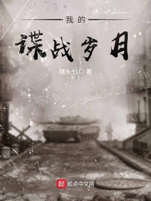 我的谍战岁月八一中文