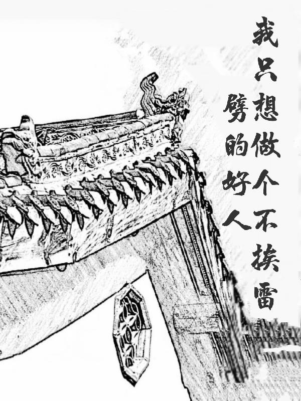 我只不过想做个好人身临其境