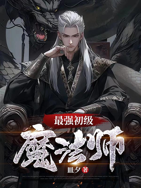 最强魔法师的遁隐计划小说