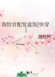 我给官配发盒饭免费阅读