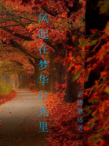 歌曲风起时