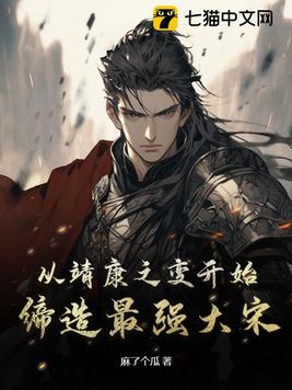 靖康之耻之后宋朝的复仇