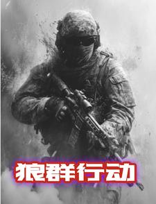 狼群行动2电影国语