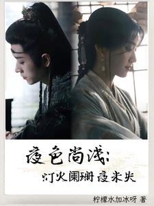 夜未央灯火阑珊诗句意思