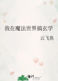 我在魔法世界教物理