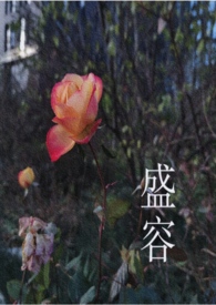 盛容免费小说
