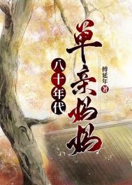 八十年代单门冰箱