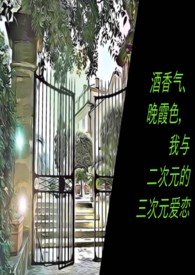 我与二次元的爱恨情仇