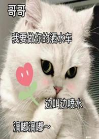 血压高可喝啤酒吗