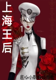 上海王电视剧40集完整版免费
