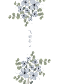 歌曲飞蛾扑火原唱