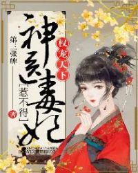 权宠天下神医小毒妃全文
