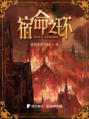 宿命之环小说下载