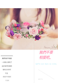 我们不要相爱了txt全集下载