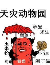 天灾视频玩具