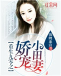 重生之九零团宠小娇妻免费